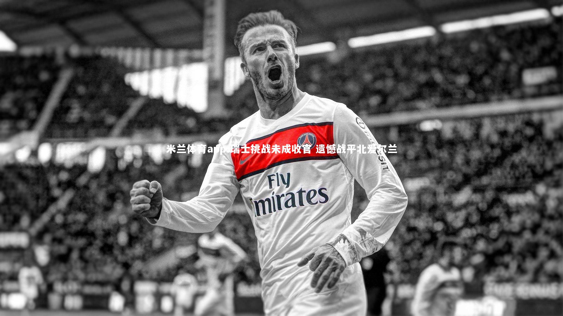 瑞士挑战未成收官 遗憾战平北爱尔兰